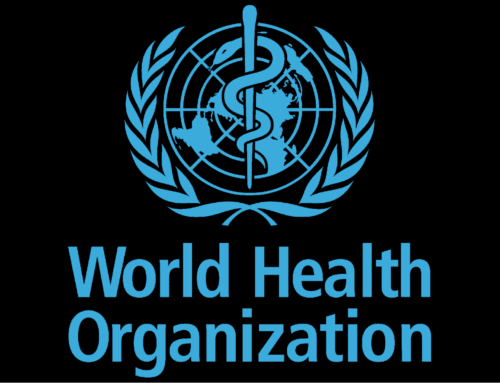 Hantavirus on the High Seas: What the M/V Hondius Outbreak Means for You
